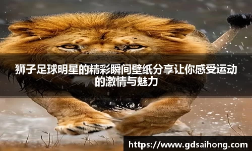 狮子足球明星的精彩瞬间壁纸分享让你感受运动的激情与魅力